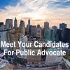 The Gothamist Guide To The Public Advocate Race